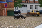 Schweinemarkt - Schwerin